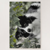 Wald Border Collie 1014 Teile Puzzle (Vertikal)