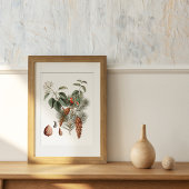 Wald Botanik – Kiefernzapfen und Beeren Poster