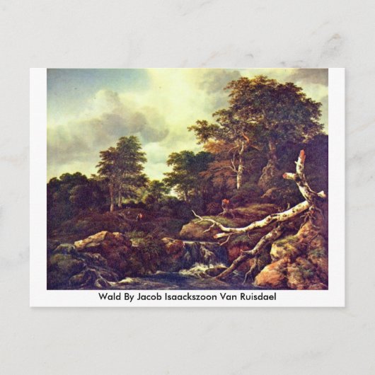Wald by Jacob Isaackszoon Van Ruisdael Postkarte (Vorderseite)