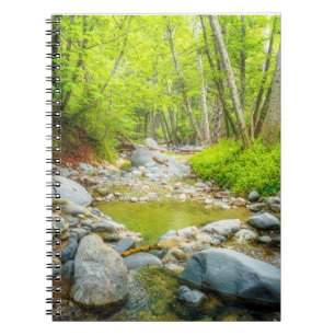 Wald Creek Notizbuch Friedliches Waldjournal Notizblock