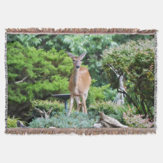 Wald Deer Decke (Vorderseite)