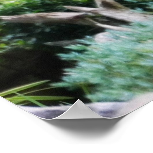 Wald Deer Poster (Ecke)