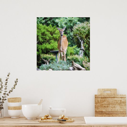 Wald Deer Poster (Küche)