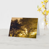 Wald der Furien Karte (Gelbe Blume)