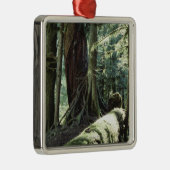 Wald der Kathedralen-Waldung im Britisch-Columbia Silbernes Ornament (Rechts)