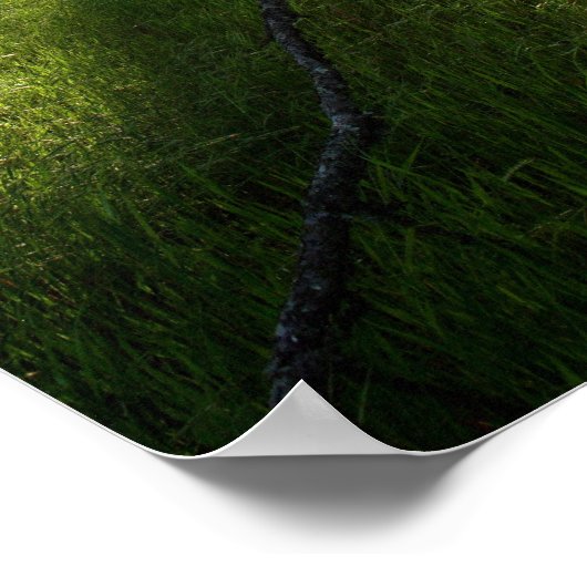 "Wald der Schatten" Poster (Ecke)