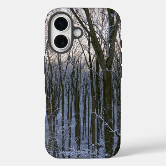 Wald der schneebedeckten Bäume Case-Mate iPhone Hülle (Rückseite)
