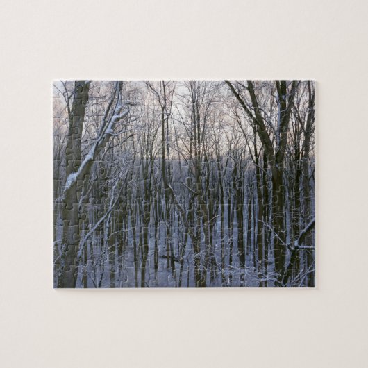 Wald der schneebedeckten Bäume Puzzle (Horizontal)