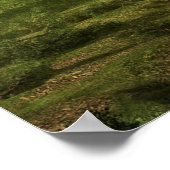 Wald-Fantasie Poster (Ecke)