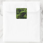Wald-Farn Quadratischer Aufkleber (Tasche)