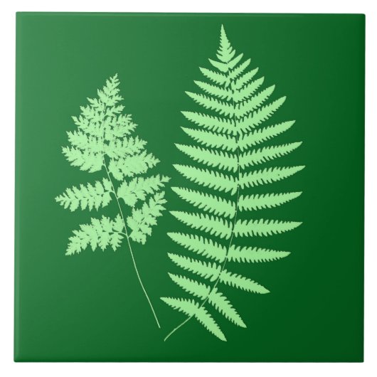 Wald farn, Smaragd und Hellgrün Fliese (Vorderseite)