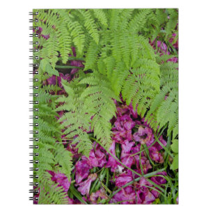 Wald Farne mit rosa Blütenblättern auf dem Boden Notizblock