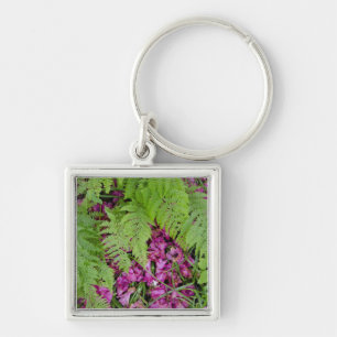 Wald Farne mit rosa Blütenblättern auf dem Boden Schlüsselanhänger