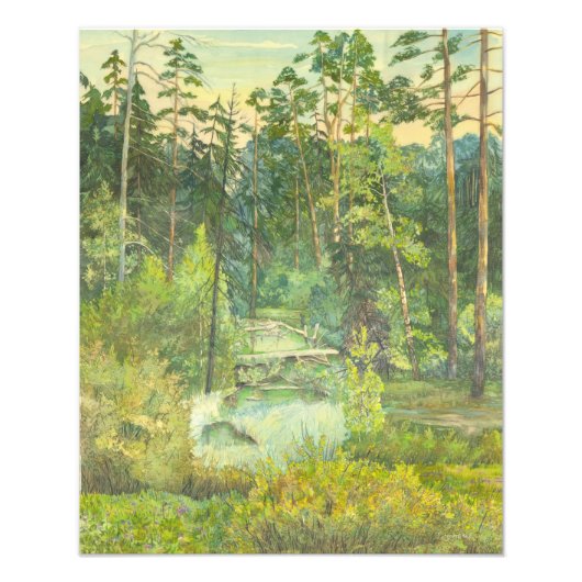 Wald Fotodruck (Vorne)