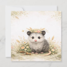 Wald Freund Wald Opossum