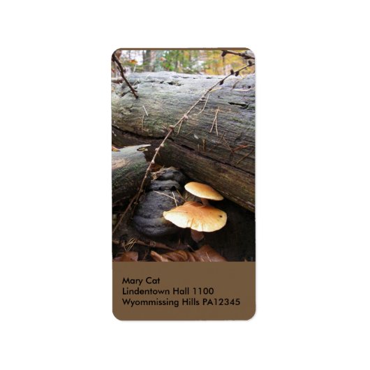 Wald Fungi #3 Adressaufkleber (Vorne)