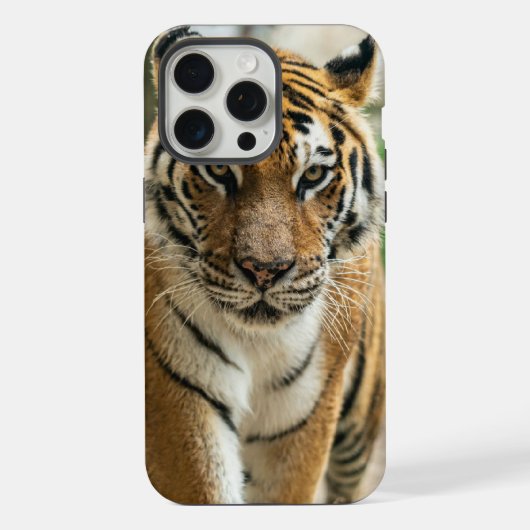 Wald gehender Tiger iPhone Hülle (Rückseite)