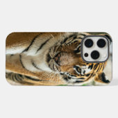 Wald gehender Tiger iPhone Hülle (Rückseite (Horizontal))