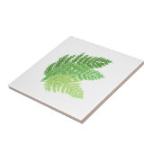 Wald-Grünfarne Fliese (Seite)