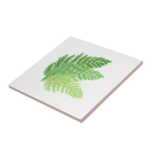 Wald-Grünfarne Fliese (Seite)