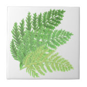 Wald-Grünfarne Fliese (Vorderseite)