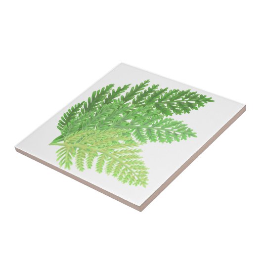 Wald-Grünfarne Fliese (Seite)