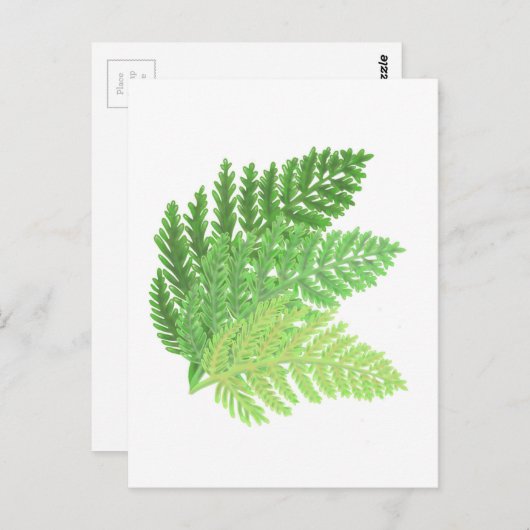 Wald-Grünfarne Postkarte (Vorne/Hinten)