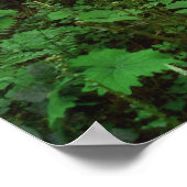 Wald GT 1 Poster (Ecke)