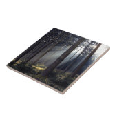 Wald im Bayern Fliese (Seite)