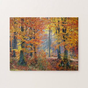 Wald im Fall Puzzle
