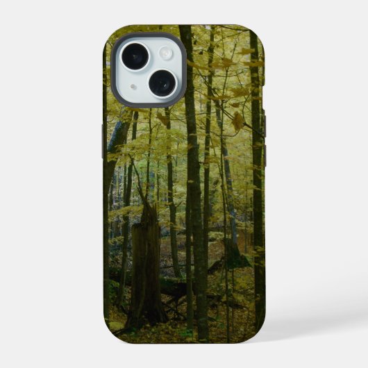 Wald im Herbst iPhone 15 Hülle (Rückseite)