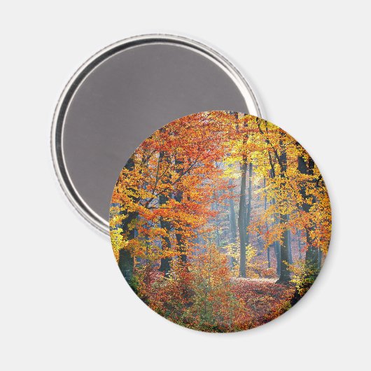 Wald im Herbst Magnet (Vorderseite/Rückseite)