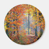 Wald im Herbst Magnet (Vorne)