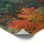 Wald im Herbst mit Herbst Laub. Algonquin Poster (Ecke)