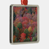 Wald im Herbst mit Herbstlaub.  Algonquin Silbernes Ornament (Rechts)