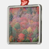 Wald im Herbst mit Herbstlaub.  Algonquin Silbernes Ornament (Links)