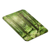 Wald im Killarney-Nationalpark | Kerry, Irland Magnet (Rechte Seite)