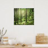 Wald im Killarney-Nationalpark | Kerry, Irland Poster (Küche)