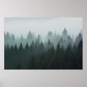 Wald im Morgennebel im Berg. Spruce Poster