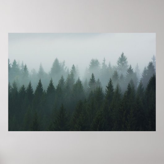 Wald im Morgennebel im Berg. Spruce Poster (Vorne)