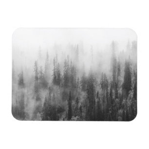 Wald im Nebel Magnet