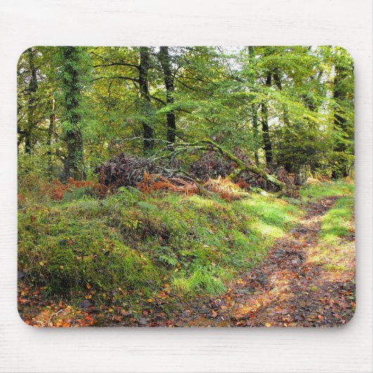 Wald im Oktober Mousepad (Vorne)