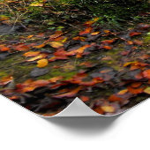 Wald im Oktober Poster (Ecke)