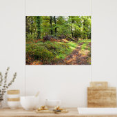 Wald im Oktober Poster (Küche)