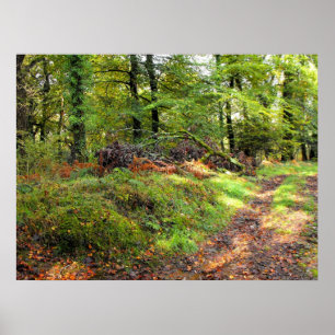 Wald im Oktober Poster