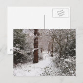 Wald im Schnee aussteigen. Postkarte (Vorne/Hinten)