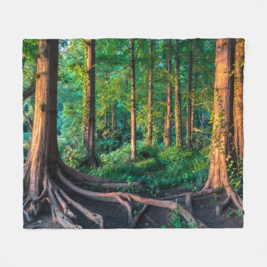 Wald im Sommer Fleecedecke (Vorderseite (Horizontal))