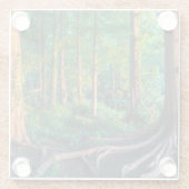Wald im Sommer Glasuntersetzer (Rückseite)