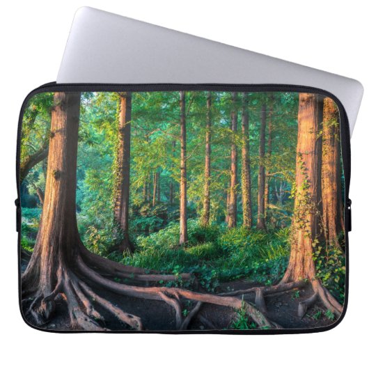 Wald im Sommer Laptopschutzhülle (Vorderseite)