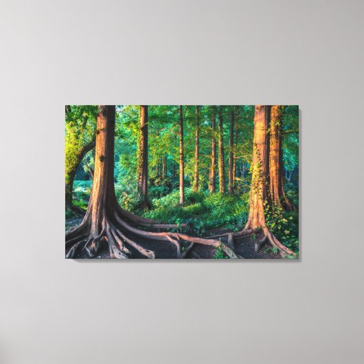 Wald im Sommer Leinwanddruck (Vorderseite)